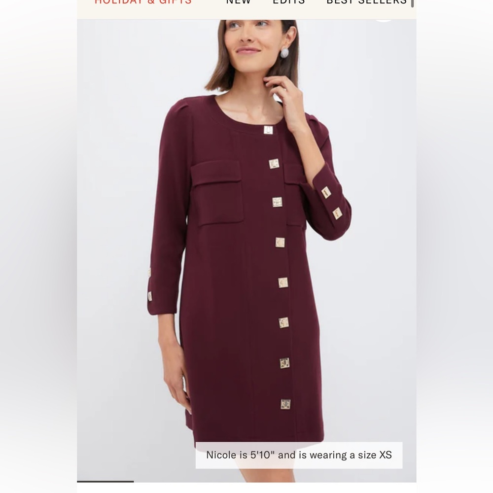 NWT Tuckernuck Oxblood Barnett Mini Dress